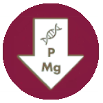 Proteína, fósforo y magnesio reducidos