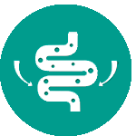 Digestión facilitada